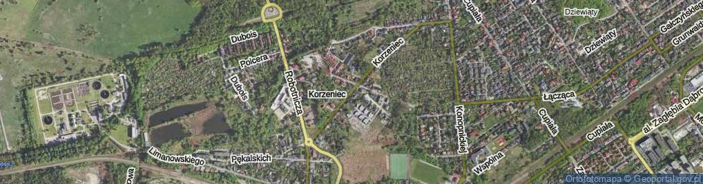 Zdjęcie satelitarne Korzeniec ul.